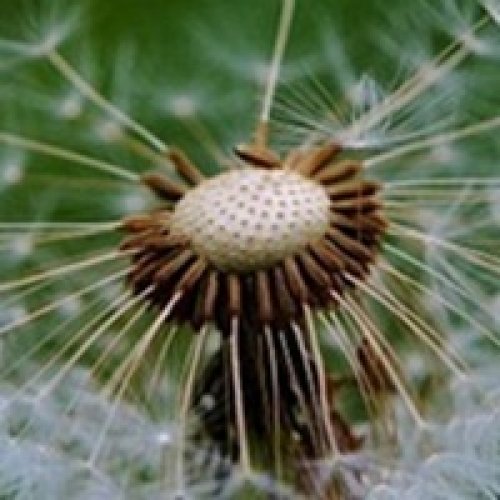 -SAT2例题讲解：新SAT...