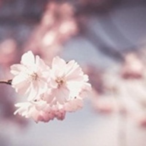 -SAT备考：SAT2考试科...