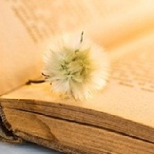 -SAT数学如何获得高分...