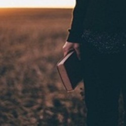 -适用于托福/ACT的新SA...